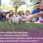 Agriturismo Il Podere *