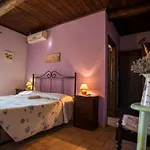 Farma Agriturismo Il Podere