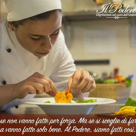 Agriturismo Il Podere Agroturismo Petrignano