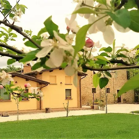 Agriturismo Il Podere Agroturismo Petrignano
