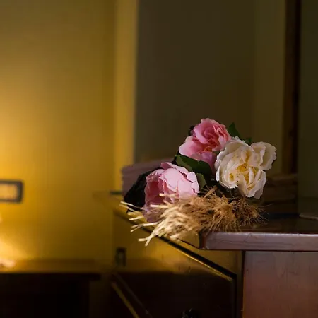 Agroturismo Agriturismo Il Podere *